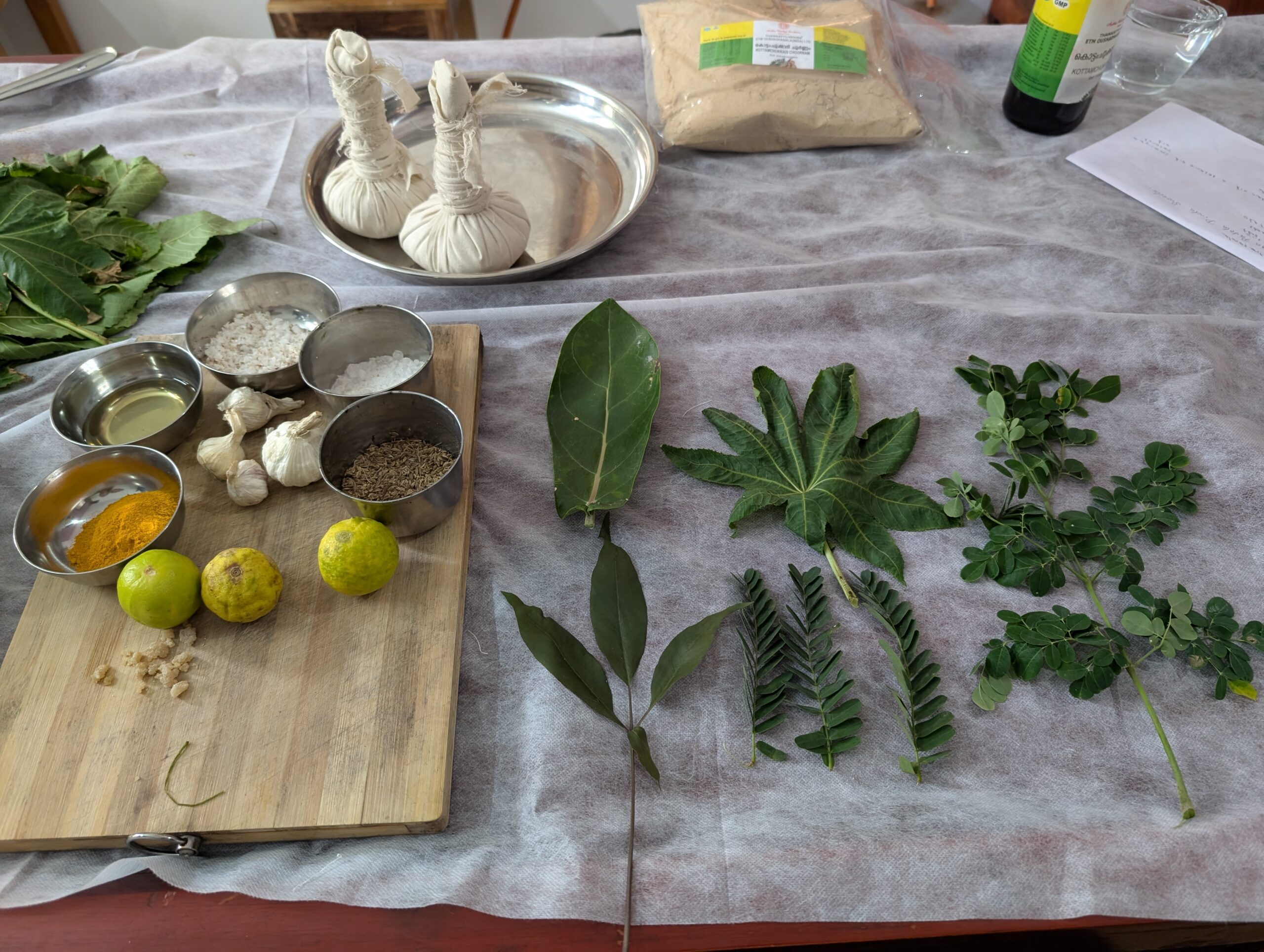 Top 10 Ayurvedic Herbs for Immunity in Monsoon Season 10 Top 10 Ayurvedic Herbs for Immunity in Monsoon Season