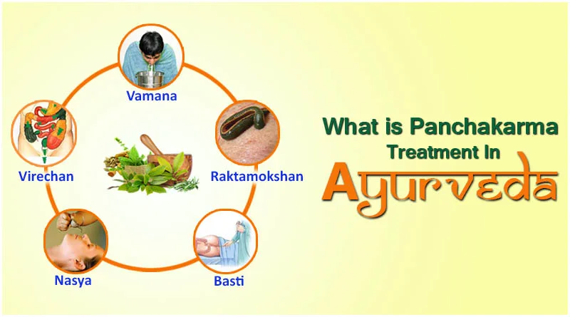 Panchakarma Explained: What It Is and Why Everyone’s Talking about It 6 Panchakarma Explained: What It Is and Why Everyone’s Talking about It