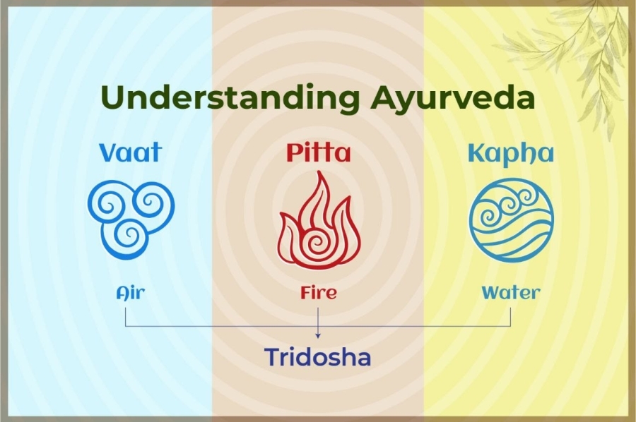 Ideal Ayurveda Diet & Treatment Guidance for Kapha Pitta Dosha 2 Kapha Pitta Dosha by lokah ayurveda